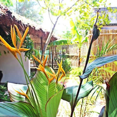 An Bang Purple Homestay Hoi An Exterior foto