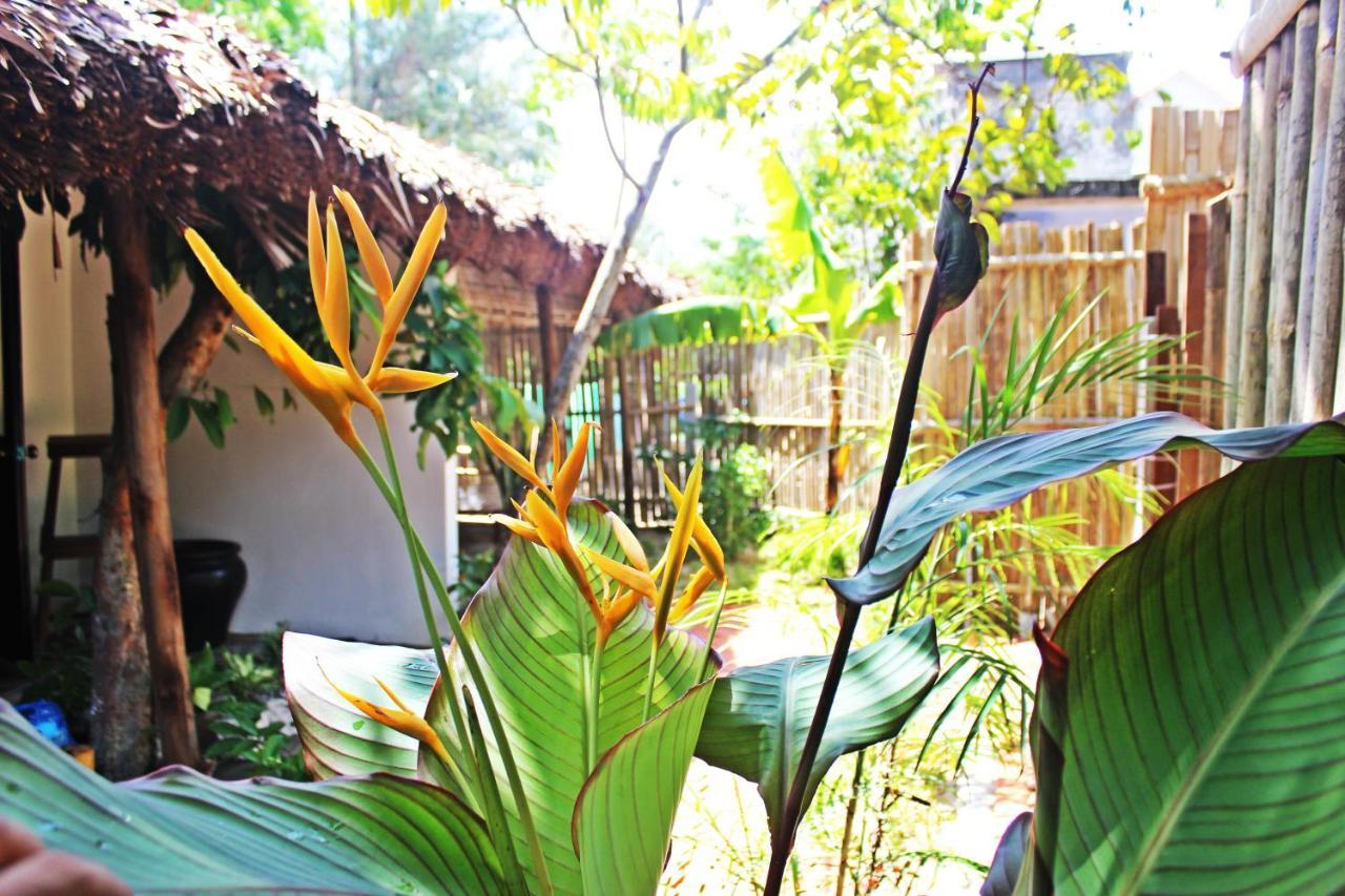 An Bang Purple Homestay Hoi An Exterior foto