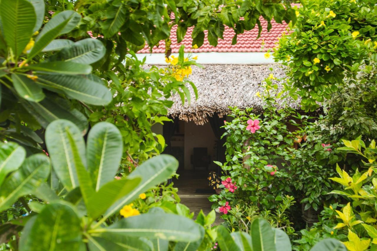 An Bang Purple Homestay Hoi An Exterior foto